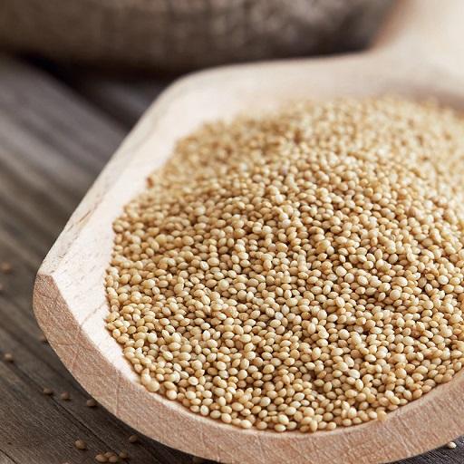 Organic Amaranth Seeds